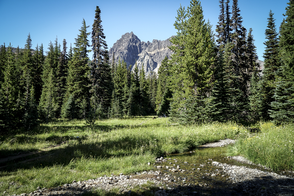 Three Fingered Jack